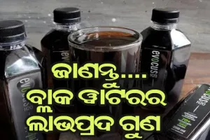 ଜାଣନ୍ତୁ.. ବ୍ଲାକ୍‌ ୱାଟର୍‌ କ’ଣ ? ସ୍ବାସ୍ଥ୍ଯ ପାଇଁ ଏହା କେତେ ଲାଭଦାୟକ