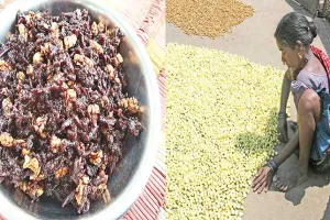 ଖାଦ୍ୟ ତାଲିକାରେ ସ୍ଥାନ ପାଇବ ‘ମହୁଲ କାକୋ’