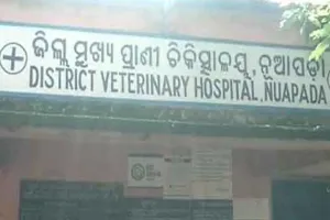 ଭିଜିଲାନ୍ସ ପଞ୍ଝାରେ ନୂଆପଡା ମୁଖ୍ୟ ପ୍ରାଣୀଧନ ଚିକିତ୍ସାଧିକାରୀ