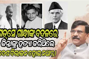ନାଥୁରାମ୍‌ ଗଡସେ ଗାନ୍ଧୀଙ୍କ ବଦଳରେ ଜିନ୍ନାଙ୍କୁ ହତ୍ୟା କରିଥିଲେ ଦେଶ ବିଭାଜନରୁ ବଞ୍ଚିଯାଇଥାନ୍ତା : ଶିବସେନା ସାଂସଦ ସଞ୍ଜୟ ରାଉତ