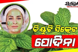 ବିୟୁଟି ସିକ୍ରେଟ – ପୋଦିନା