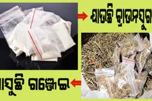 ଯାଉଛି ବ୍ରାଉନସୁଗର, ଆସୁଛି ଗଞ୍ଜେଇ: ନାଇଟକୋଚ୍ ବସ୍ ରେ ହେଉଛି ଚାଲାଣ, ମାଷ୍ଟର ମାଇଣ୍ଡକୁ ଧରୁନି ପୁଲିସ
