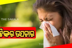 ରୋଗ ଗୋଟିଏ ଉପଚାର ଅନେକ: ଲଗାତାର ଛିଙ୍କରୁ କିପରି ପାଇବେ ଉପଷମ, ଜାଣନ୍ତୁ ଉପଚାର