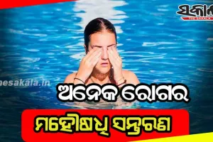 ଅନେକ ରୋଗର ମହୌଷଧି ସନ୍ତରଣ