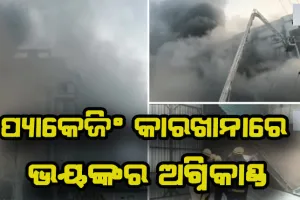ସୁରଟ ପ୍ୟାକେଜିଂ କାରଖାନାରେ ଭୟଙ୍କର ଅଗ୍ନିକାଣ୍ଡ; ୨ ମୃତ, ୧୨୫ ଉଦ୍ଧାର