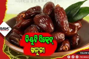 ସ୍ବାସ୍ଥ୍ୟ ଓ ସୌନ୍ଦର୍ଯ୍ୟ ଲାଗି ଉପକାରୀ ଖଜୁରୀ