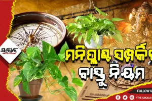 ଘରର ଏହି କୋଣରେ ଲଗାନ୍ତୁ ମନିପ୍ଲାଣ୍ଟ, ଆର୍ଥିକସ୍ତରରେ ଉନ୍ନତି ଆସିବା ସହିତ ଦୂର ହୋଇଯିବ ସମସ୍ତ ନକାରାତ୍ମକ ଶକ୍ତି