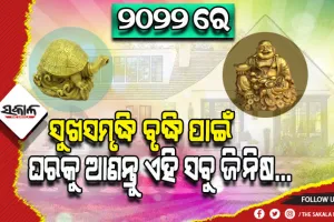 ଏହିସବୁ ଜିନିଷ ଘରକୁ ଆଣିବା ଦ୍ୱାରା ଶୁଭଫଳ ପ୍ରାପ୍ତ ହେବା ସହ ସୁଖସମୃଦ୍ଧିରେ ପୁରିଉଠିଥାଏ ଘର