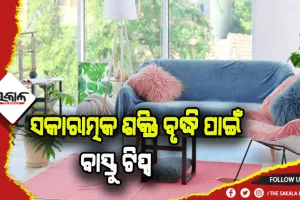 ସକାରାତ୍ମକ ଶକ୍ତି ବୃଦ୍ଧି ଓ ଆର୍ଥିକ ସ୍ତରରେ ଉନ୍ନତି ପାଇଁ ଜାଣନ୍ତୁ ବାସ୍ତୁ ଟିପ୍ସ