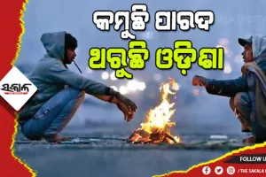 ଶୀତରେ ଥରୁଛି ସାରା ଓଡିଶା, ୧୦ ଡିଗ୍ରୀ ତଳେ ରାଜ୍ୟର ୧୦ ସହର