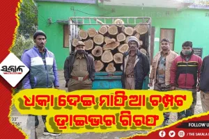 ଶିମିଳିପାଳରେ କାଠ ମାଫିଆ, ଧକା ଦେଇ ମାଫିଆ ଚମ୍ପଟ