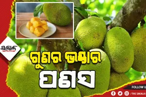 ଶରୀର ପାଇଁ କେତେ ସ୍ବାସ୍ଥ୍ୟପ୍ରଦ ହୋଇଥାଏ ପଣସ, ଆସନ୍ତୁ ଜାଣିବା….