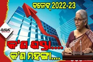 ବଜେଟ୍‌ ୨୦୨୨-୨୩ : ଜାଣନ୍ତୁ କ’ଣ ହେଲା ଶସ୍ତା ଏବଂ କ’ଣ ହେଲା ମହଙ୍ଗା