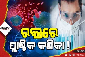 ଚିନ୍ତାରେ ବୈଜ୍ଞାନିକ: ପ୍ରଥମଥର ପାଇଁ ମନୁଷ୍ୟ ରକ୍ତରୁ ମିଳିଲା ମାଇକ୍ରୋପ୍ଲାଷ୍ଟିକ୍ କଣିକା