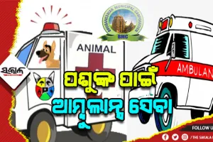 ପଶୁଙ୍କ ପାଇଁ ଆମ୍ବୁଲାନ୍ସ ଆଣିବ ବିଏମ୍‍ସି