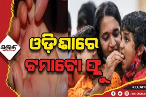 ଓଡ଼ିଶାରୁ ୨୬ ଟମାଟୋ ଫ୍ଲୁ ଆକ୍ରାନ୍ତ ଚିହ୍ନଟ