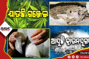 ଯାଉଛି ଗଞ୍ଜେଇ, ଆସୁଛି ଧଳାଜହର: ୧୦ ମାଫିଆଙ୍କ ସମ୍ପତ୍ତି ଯାଞ୍ଚକରୁଛି କମିସନରେଟ୍ ପୁଲିସ