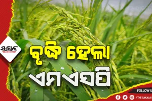 ଧାନ ସମେତ ୧୭ଟି ଫସଲର ଏମଏସପି ବୃଦ୍ଧି