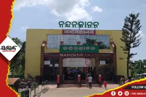 ଖୁବ୍‍ଶୀଘ୍ର ନନ୍ଦନକାନନକୁ ଆସିବେ ଦୁଇଟି ଗଣ୍ଡା