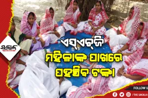 ଏଣିକି ପ୍ରକଳ୍ପ ଶେଷ ପରେ ଅର୍ଥପାଇଁ ଦଉଡ଼ିବେନି, ଏସ୍‍ଏଚ୍‍ଜି ମହିଳାଙ୍କ ପାଖରେ ପହଞ୍ଚିବ ଟଙ୍କା