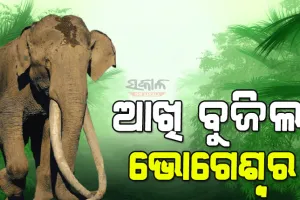 ୭୦ ବର୍ଷ ବୟସରେ ଏସିଆର ସବୁଠାରୁ ଲମ୍ବା ଦାନ୍ତ ଥିବା ହାତୀ ଭୋଗେଶ୍ବରର ମୃତ୍ୟୁ