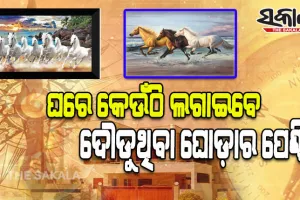 ବାସ୍ତୁ ଟିପ୍ସ: ଘରେ ଧନବୃଦ୍ଧି ସହ ସମସ୍ତ ପ୍ରକାର ବାଧାବିଘ୍ନକୁ ଦୂର କରିବା ପାଇଁ ଆପଣାନ୍ତୁ ଏହି ଉପାୟ…