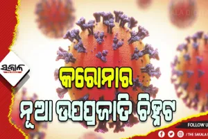 କରୋନାର ନୂଆ ଉପପ୍ରଜାତି ଚିହ୍ନଟ