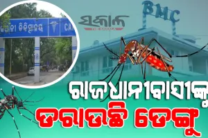 ଭୁବନେଶ୍ୱରରେ ବୃଦ୍ଧି ପାଉଛି ଡେଙ୍ଗୁ ରୋଗୀଙ୍କ ସଂଖ୍ୟା : ଜୁଲାଇରେ ଚିହ୍ନଟ ହେଲେଣି ୧୪୧ ରୋଗୀ