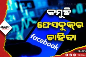ଭାରତରେ କମୁଛି ଫେସବୁକ୍‌ର ଚାହିଦା