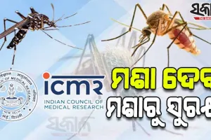 ଆଇସିଏମ୍‌ଆର୍‌ର ନିଆରା ଉଦ୍ଭାବନ: ଚିକେନ୍‌ଗୁନିଆ, ଡେଙ୍ଗୁରୁ ସୁରକ୍ଷା ଦେବେ ମଶା