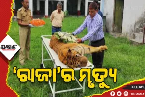ଦେଶର ସବୁଠୁ ବୟସ୍କ ମହାବଳ ବାଘ ‘ରାଜା’ର ମୃତ୍ୟୁ
