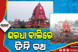 ଶରଧା ବାଲିରେ ତିନି ରଥ: ମହାପ୍ରଭୁଙ୍କୁ ରଥରେ ଦେଖି ଭାବବିହ୍ବଳ ହେଲେ ଭକ୍ତ