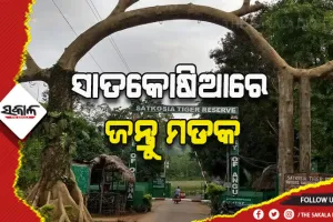 ସାତକୋଷିଆରେ ଜନ୍ତୁ ମଡକ, ଗୋଟିଏ ମାସରେ ୭ ବନ୍ୟଜନ୍ତୁ ମୃତ