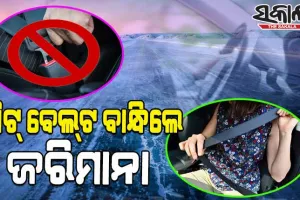 ବିଶ୍ୱର ଏପରି ଦେଶ ଯେଉଁଠି ଗାଡି ଚଲାଇବାବେଳେ ସିଟ୍‌ ବେଲ୍‌ଟ ବାନ୍ଧିଲେ ଦେବାକୁ ପଡେ ଜରିମାନା