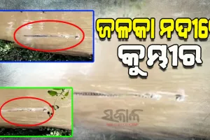 ଜଳକା ନଦୀରେ ବୁଲୁଛି କୁମ୍ଭୀର, ଭୟଭୀତ ଅବସ୍ଥାରେ ବନ୍ୟା ବିପନ୍ନ