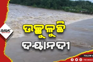 ଉଛୁଳିଛି ଦୟାନଦୀ: କୁମାରଡିହି ଗାଁ ନଦୀବନ୍ଧରେ ଏକାଧିକ ଘଳିଆ ସୃଷ୍ଟି