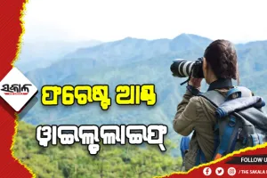 ଫରେଷ୍ଟ ଆଣ୍ଡ ୱାଇଲ୍ଡଲାଇଫରେ କ୍ଯାରିଅର କରିବାକୁ ଚାହୁଁଥିଲେ….