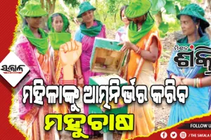 ମିଶନ ପଥରେ ‘ମିଶନ ଶକ୍ତି’: ମହିଳାଙ୍କୁ ଆତ୍ମନିର୍ଭର କରିବ ମହୁଚାଷ