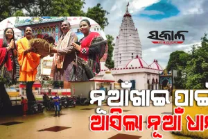 ନୂଆଁଖାଇ ପାଇଁ ମାଁ ସମଲେଶ୍ବରୀଙ୍କ ପୀଠକୁ ଆସିଲା ନୂଆଁ ଧାନ, ସେପ୍ଟେମ୍ବର ପହିଲାରେ ସମସ୍ତେ ଖାଇବେ ନୂଆଁ