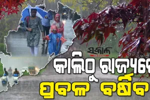 ଲଘୁଚାପ ପ୍ରଭାବରେ ଆସନ୍ତା ଦୁଇ ଦିନ ରାଜ୍ୟରେ ପ୍ରବଳରୁ ଅତିପ୍ରବଳ ବର୍ଷା, ୬୫ କି.ମି. ବେଗରେ ବହିବ ପବନ