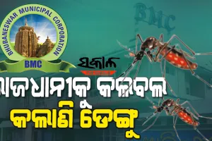 ରାଜଧାନୀରେ ଡେଙ୍ଗୁ ଆତଙ୍କ: ୧୯୦୦ ପାର କଲା ଆକ୍ରାନ୍ତଙ୍କ ସଂଖ୍ୟା