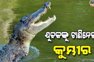 ନଦୀକୁ ଶୌଚ ପାଇଁ ଯାଇଥିବାବେଳେ ଝାମ୍ପିନେଲା କୁମ୍ଭୀର, ଅଳ୍ପକେ ବର୍ତ୍ତିଲେ ଯୁବକ