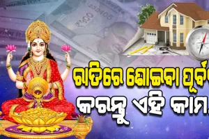 ମା’ ଲକ୍ଷ୍ମୀଙ୍କ କୃପାପ୍ରାପ୍ତି ପାଇବା ସହ ଘରର ବାସ୍ତୁଦୋଷ ଦୂର କରିବା ପାଇଁ ରାତିରେ ଶୋଇବା ପୂର୍ବରୁ କରନ୍ତୁ ଏହି କାମ…