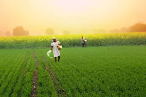 ଦ୍ୱନ୍ଦ୍ୱ ବଢ଼ାଇଲା କେନ୍ଦ୍ରମନ୍ତ୍ରୀଙ୍କ ଉତ୍ତର: ରାଜ୍ୟରେ ବାସ୍ତବ ଚାଷୀ କେତେ ?