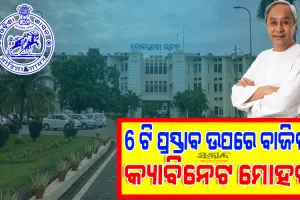 ରାଜ୍ୟ କ୍ୟାବିନେଟର ଗୁରୁତ୍ୱପୂର୍ଣ୍ଣ ନିଷ୍ପତ୍ତି: ସୃଷ୍ଟି ହେଲା ୧୨୫ ଓଏଏସ୍ ପଦବୀ, ଭେଟେନାରୀ ସର୍ଭିସ ରୁଲର ସଂଶୋଧନକୁ ମଞ୍ଜୁରୀ