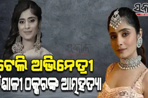 ଲୋକପ୍ରିୟ ଟେଲି ଅଭିନେତ୍ରୀ ବୈଶାଳୀ ଠକ୍କରଙ୍କ ଆତ୍ମହତ୍ୟା, ନିଜ ବାସଭବନରୁ ଝୁଲନ୍ତା ଅବସ୍ଥାରେ ମୃତଦେହ ଉଦ୍ଧାର