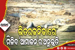 ଆକର୍ଷଣ ସାଜିବ ଭିତରକନିକା ଇକୋ ରିଟ୍ରିଟ୍‍, ମିଳିବ ‘ଆମାଜନ’ର ଅନୁଭୂତି