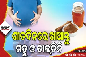 ଶୀତଦିନରେ ଖାଆନ୍ତୁ ମହୁ ଓ ଡାଲ୍‌ଚିନି: କମିବ ଚର୍ବି, ବୃଦ୍ଧି ହେବ ରୋଗପ୍ରତିରୋଧକ ଶକ୍ତି
