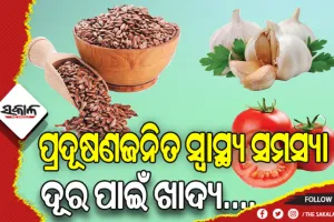 ପ୍ରଦୂଷଣଜନିତ ସ୍ବାସ୍ଥ୍ୟ ସମସ୍ୟା ଦୂର ପାଇଁ ଦୈନନ୍ଦିନ ଖାଦ୍ୟ ତାଲିକାରେ ସାମିଲ କରନ୍ତୁ ଏହି ଖାଦ୍ୟ….