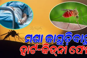 ମଶା କାମୁଡ଼ିବାରୁ ୪ ସପ୍ତାହ କୋମାରେ ରହିଲେ ରୋଗୀ; ୩୦ ଅସ୍ତ୍ରୋପଚାର ପରେ ବଞ୍ଚିଲା ଜୀବନ